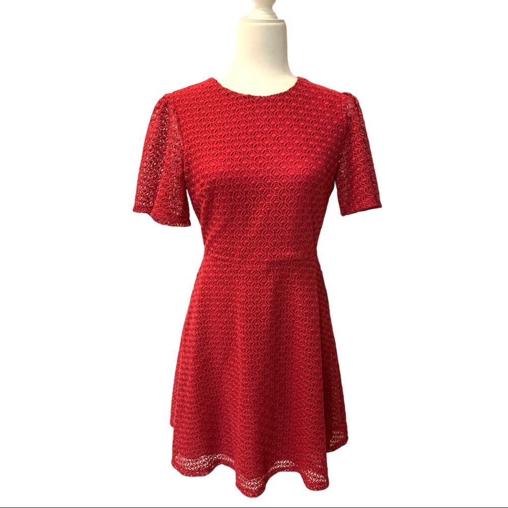 NWT Chelsea28 Lace Dress